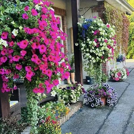 The Hermitage Riverside House 3* Clogheen